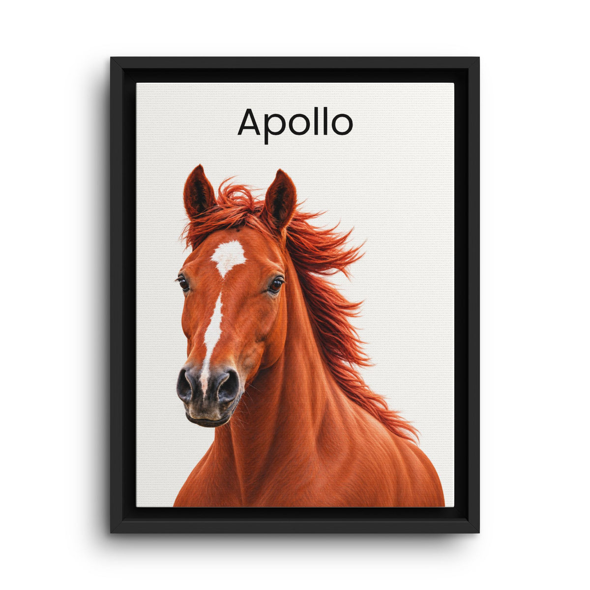 Custom Framed Horse Portrait | Personalised Canvas Print From Photo ...