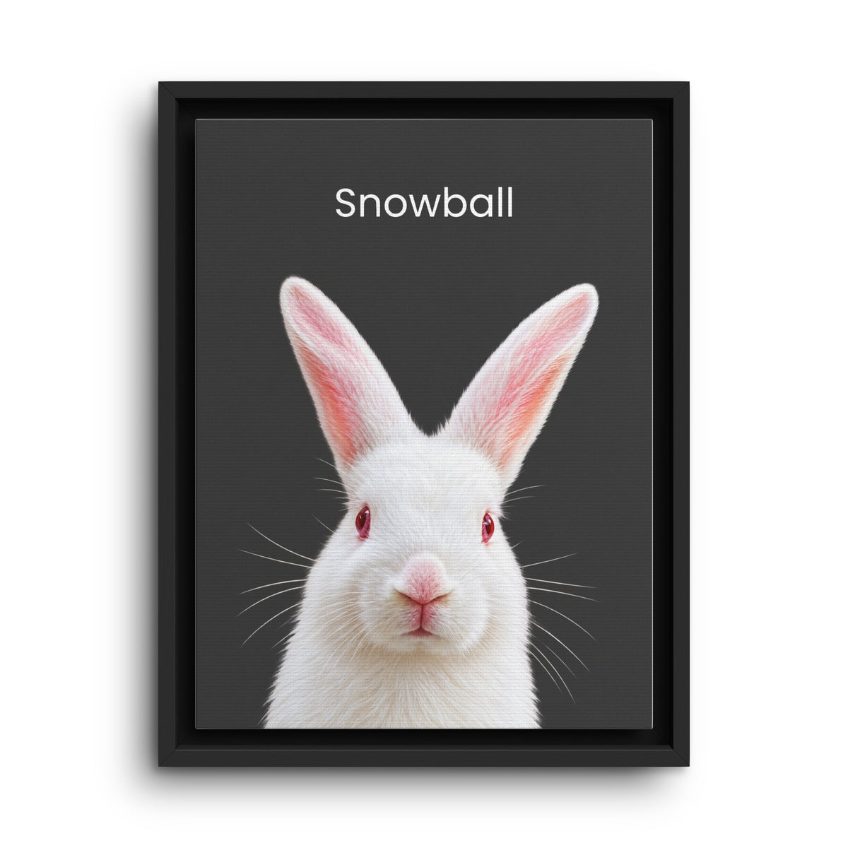 A framed art print featuring a close-up portrait of a white rabbit with red eyes and pink inner ears on a dark gray background, with the word 'Snowball' printed above. The print is housed in a simple black frame and is shown against a clean white background.