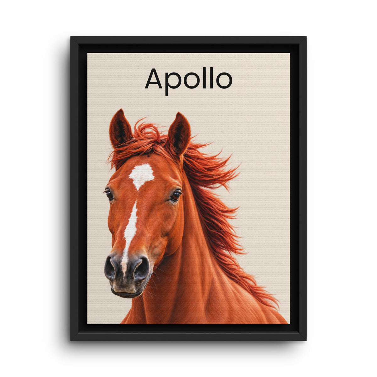 Framed wall art featuring a portrait of a chestnut horse with the name 'Apollo' printed at the top, shown against a clean white background.
