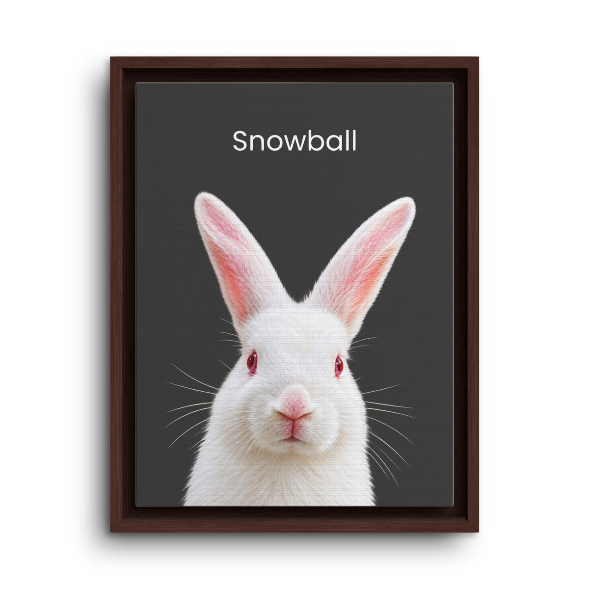 A framed art print featuring a close-up portrait of a white rabbit with red eyes and pink inner ears on a dark gray background, with the word 'Snowball' printed above. The print is housed in a simple black frame and is shown against a clean white background.