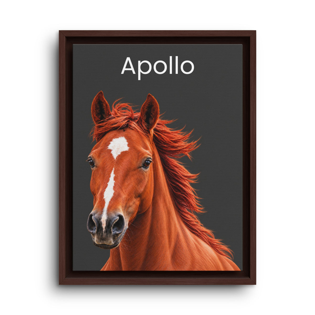 Framed wall art featuring a close-up portrait of a chestnut horse with a white blaze and the name 'Apollo' in white text at the top, shown against a dark gray background with a brown frame.