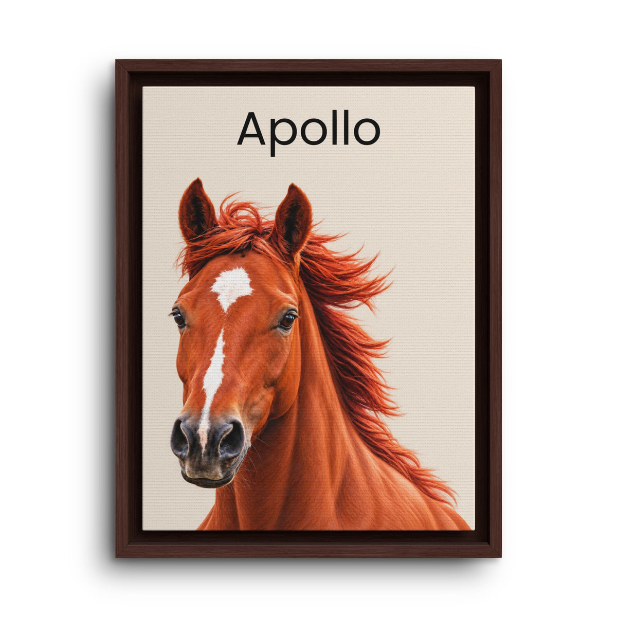 Framed wall art featuring a portrait of a chestnut horse with the name 'Apollo' printed at the top, shown against a clean white background.