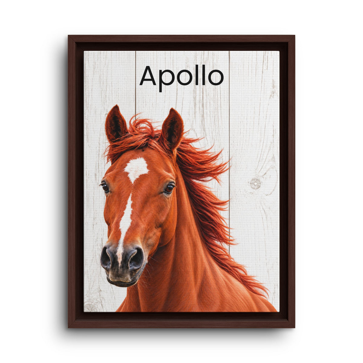 Framed wall art featuring a portrait of a chestnut horse with the name 'Apollo' printed at the top, shown against a clean white background.