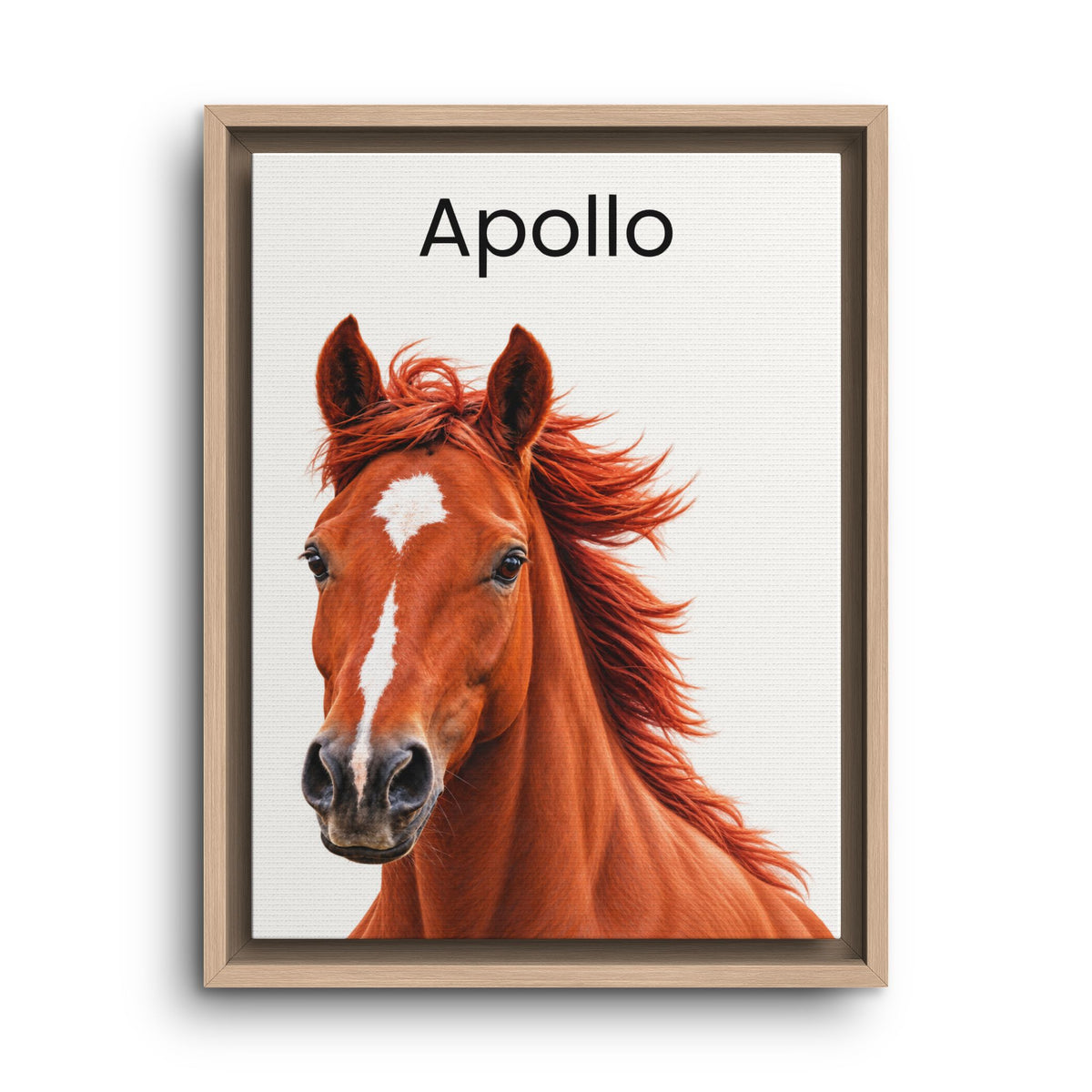Framed wall art featuring a portrait of a chestnut horse with the name 'Apollo' printed above it, shown against a clean white background.