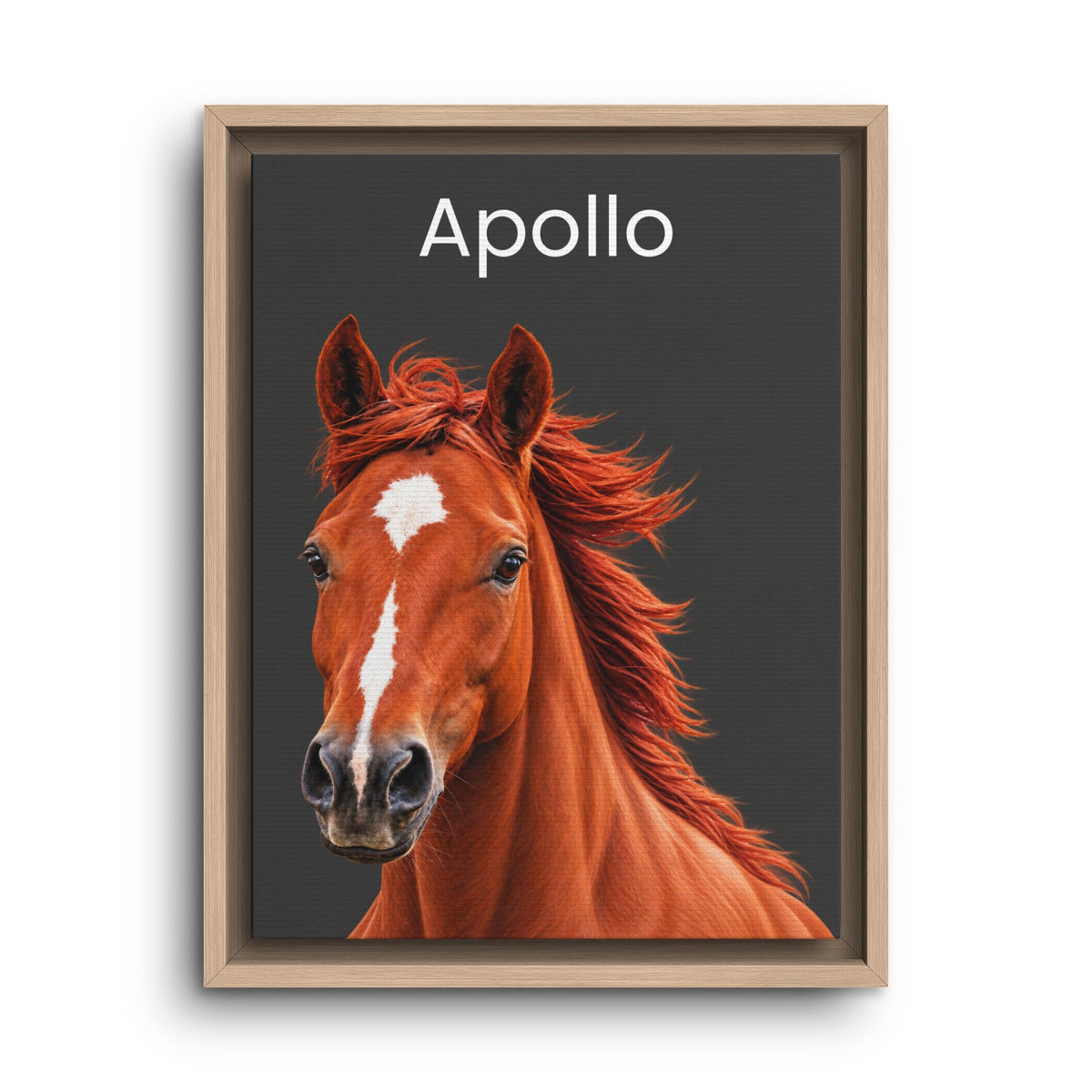 A framed custom pet portrait print featuring a detailed illustration of a chestnut horse named 'Apollo' on a dark charcoal background, enclosed in a light wood frame.