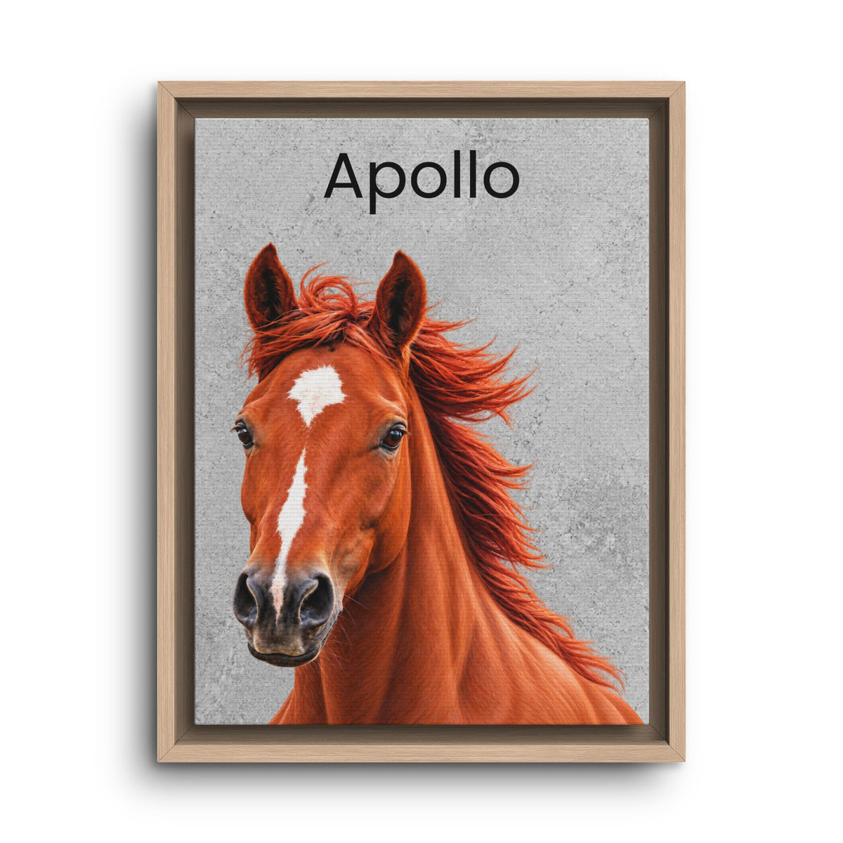Framed wall art featuring a close-up portrait of a chestnut horse with the name 'Apollo' printed at the top, shown against a light gray background.