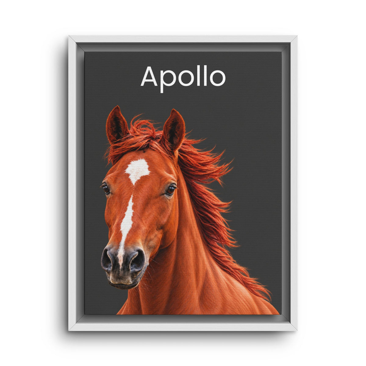 A framed custom horse portrait print featuring a chestnut horse with a white blaze and the name 'Apollo' in white text at the top, set against a dark gray background with a white frame.