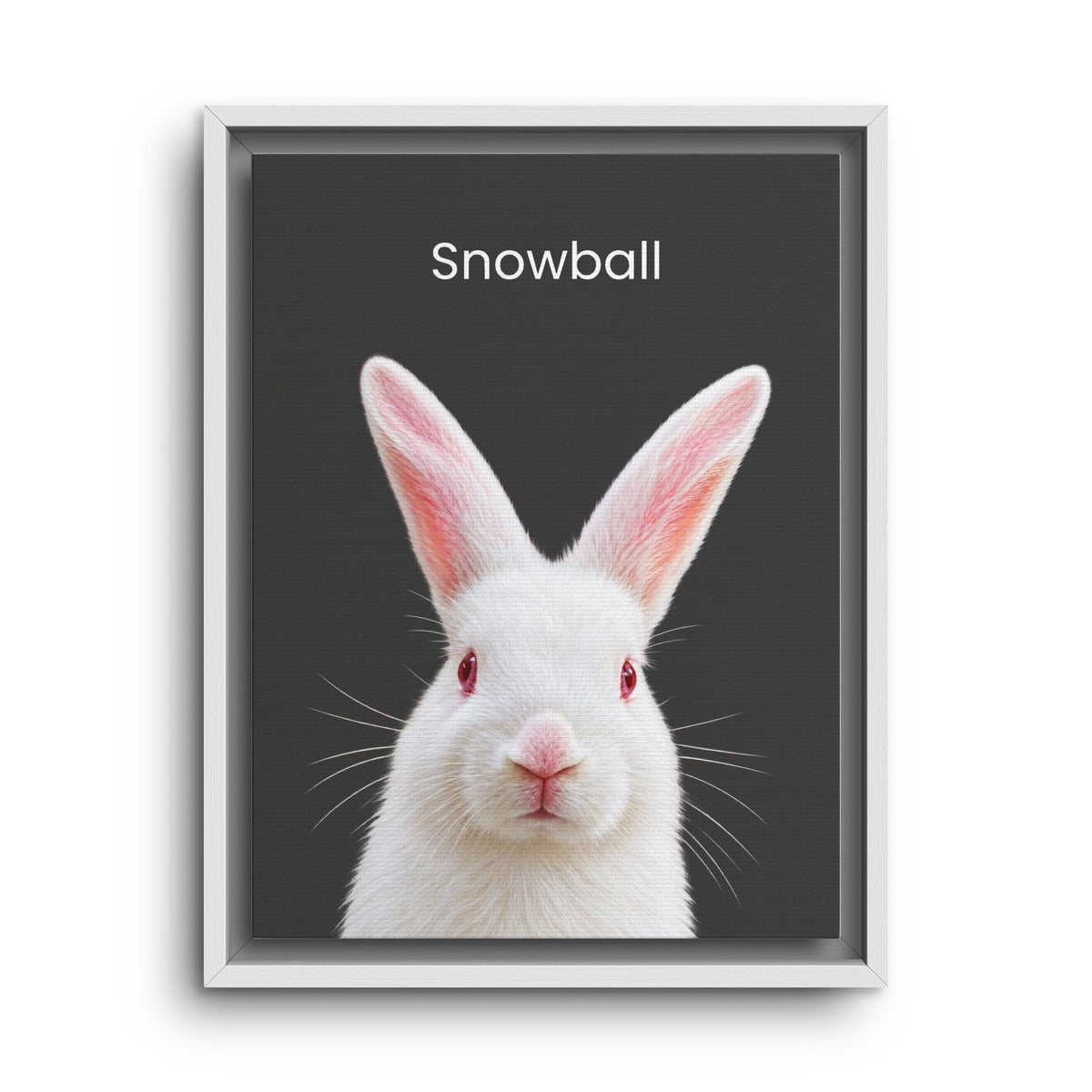 A framed poster featuring a close-up portrait of a white rabbit with pink inner ears and red eyes on a dark gray background, with the word 'Snowball' printed above. The poster is shown in a white frame against a light gray background.