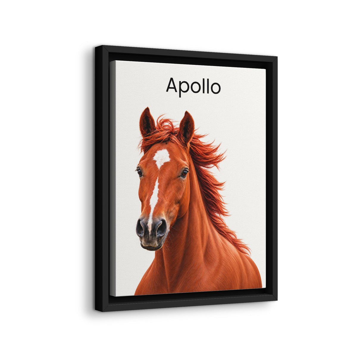 A framed art print featuring a portrait of a chestnut horse named 'Apollo' in black text on a white background, enclosed in a black floating frame.