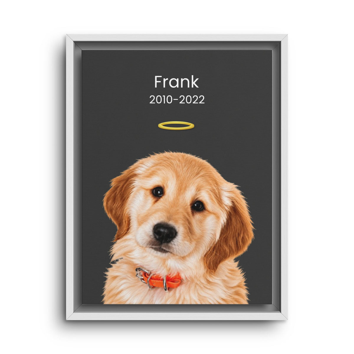 Pet Memorial Portrait | Custom Framed Canvas to Honour Your Dog